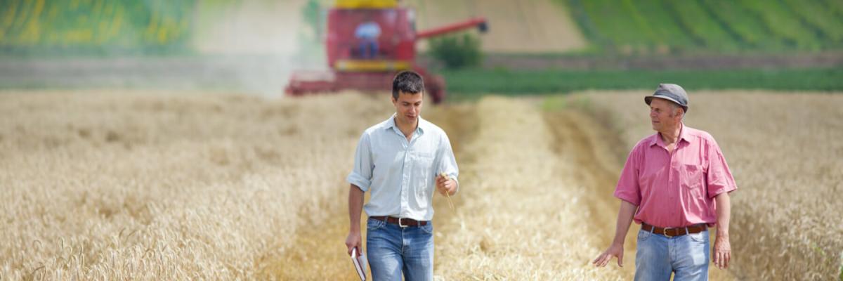 OSHA safety consultant talking with farmer while in wheat field