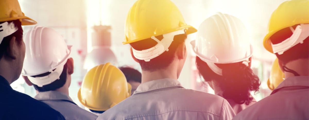 back view of a group of workers in hard hats attending a training on workplace safety